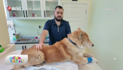 Patinin Hikayesi 17 Ocak 2026